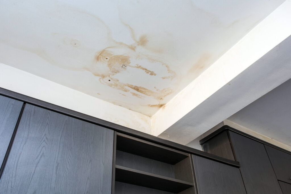 mould-testing